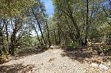 22249 El Coyote Dr, Sonora, CA 95370