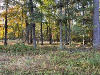 L18-L22 Altenburg Rd, Kronenwetter, WI 54455