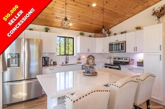 51 Schooley Rd, Bailey, CO 80421