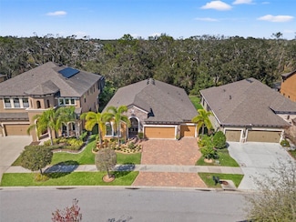 13711 Moonstone Canyon Dr, Riverview, FL 33579