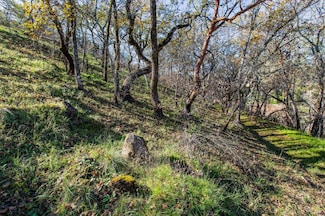 0 Tucker Rd, Calistoga, CA 94515