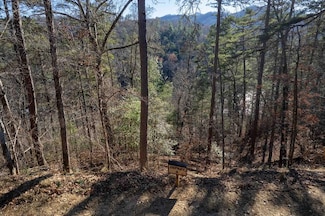 Lot 2 Osprey Mountain Way, Sylva, NC 28779