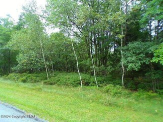 0 Patten Cir, Penn Forest Township, PA 18210