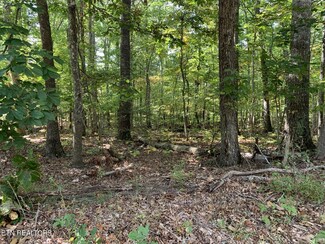 130 Glenwood Dr, Crossville, TN 38558