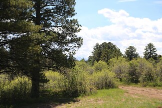PARCEL B Dave Wood Rd, Montrose, CO 81403