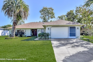 11249 Riddle Dr, Spring Hill, FL 34609