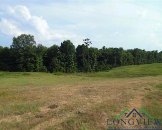 TBD Cr 161, Carthage, TX 75633
