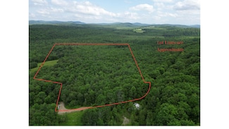 Lots 10&11 Davenport Rd, Hartford, ME 04220