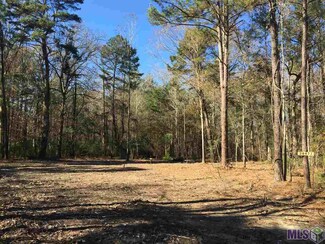 28471 Shadow Lake Dr, Holden, LA 70744