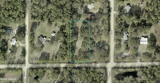 6124 Walnut Ave, Bunnell, FL 32110