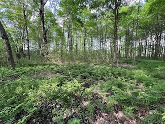 50 Acres on S Center and Thatcher Rd, Conneautville, PA 16406