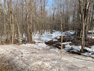 Lot 2 Little Canada Rd, Hastings, NY 13036