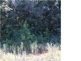 3224 Saint Stephens Rd, Mobile, AL 36612
