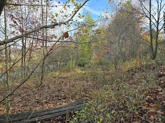 95 Zane Ln, Garrison, KY 41141