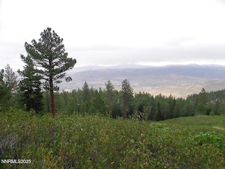 0 Kings Canyon Rd Unit 250051986, Carson City, NV 89703