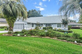 442 W Blueflax Ct, Beverly Hills, FL 34465