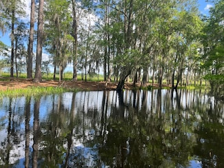 148 Castlebury Rd, Walterboro, SC 29488
