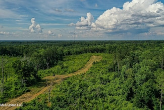 0002 Garrett Creek Loop, Pontotoc, MS 38863