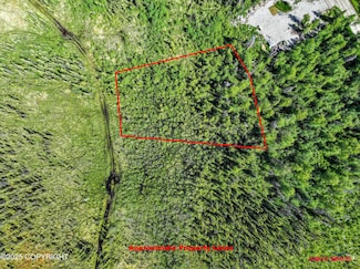 6350 W Cove Dr, Meadow Lakes, AK 99654