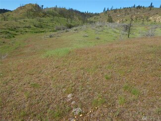 0 Coyote Ln N, Davenport, WA 99122
