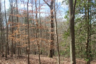 LT 233 N Crestview Dr, Ellijay, GA 30540