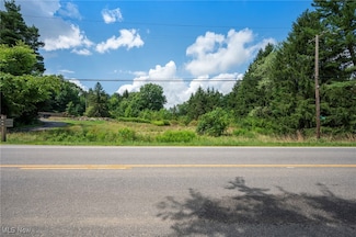 V/L Taylor Wells Rd, Chardon, OH 44024