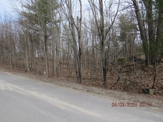 Lot 6 Williams Rd, Macomb, NY 13642