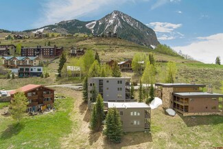 33 Castle Rd Unit 3, Crested Butte, CO 81225