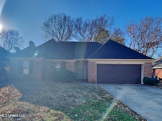 10791 Ridgefield Dr, Olive Branch, MS 38654