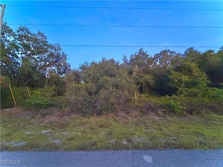 1406 Monroe Ave, Lehigh Acres, FL 33972