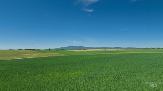 TBD Little Bear Ridge Rd, Troy, ID 83871