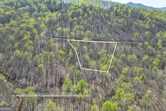 Lot 88 Rocky Knob Estates, Young Harris, GA 30582