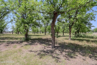 3000 Calle de Guadalupe, Mesilla, NM 88046