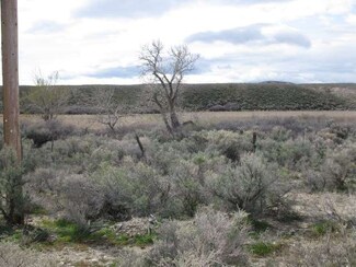 001 Bates Creek Rd, Oreana, ID 83650