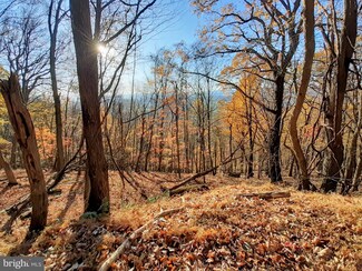 16 ACRES Barksdale Ln, Lahmansville, WV 26731