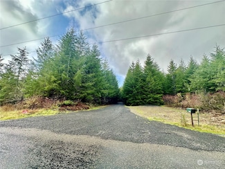 15 W Ford Rd Unit Lot 3, Matlock, WA 98560