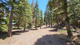 83-241 Lost Ln Unit 23-30 & 5, Mammoth Lakes, CA 93546