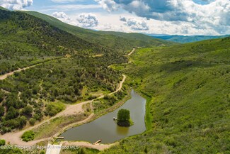 3691 E Sopris Creek Rd, Basalt, CO 81621