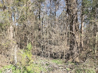 0 Hampshire Pike, Columbia, TN 38401