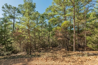Lot 96 Hidden Hollow Ct, Bastrop, TX 78602
