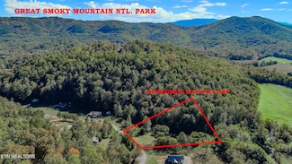 2409 Perilla Rd, Cosby, TN 37722