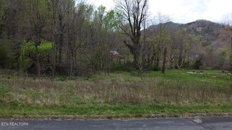 Lot 10 Thomas Headrick Rd, Sevierville, TN 37862