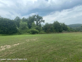 13 Andy Sims Rd, Saugerties, NY 12477