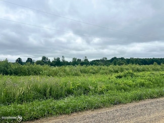 VL Mt View Rd, Lapeer, MI 48446