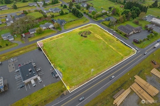 9538 184th Ave SW, Rochester, WA 98579