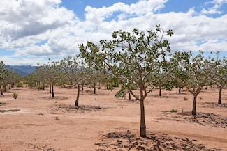 509 Riata Rd, Tularosa, NM 88352