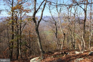 0 Cedar Rd, Strasburg, VA 22657