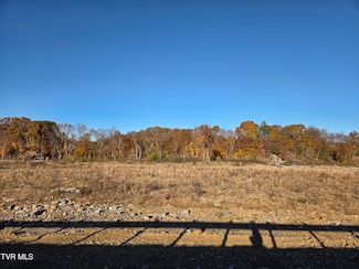 289 Bill Mauk Rd, Chuckey, TN 37641