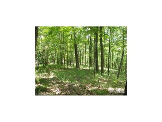 0 Brushy Fork Rd Unit M233176, Cairo, WV 26337