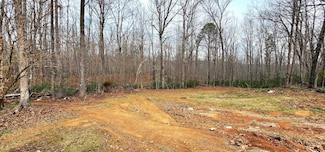 168 Duncan Ln, Afton, VA 22920